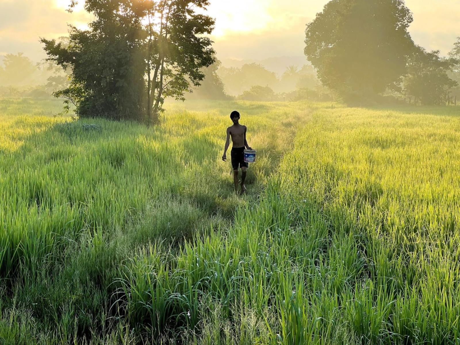 The Little Vegan Homestay Phumi Banteay Srei ภายนอก รูปภาพ