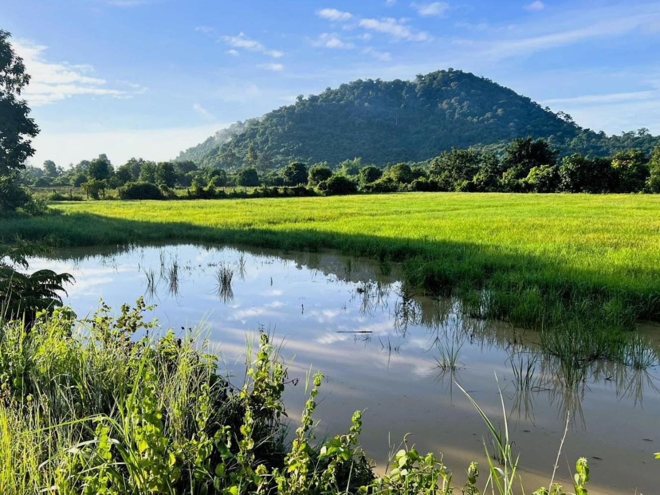 The Little Vegan Homestay Phumi Banteay Srei ภายนอก รูปภาพ